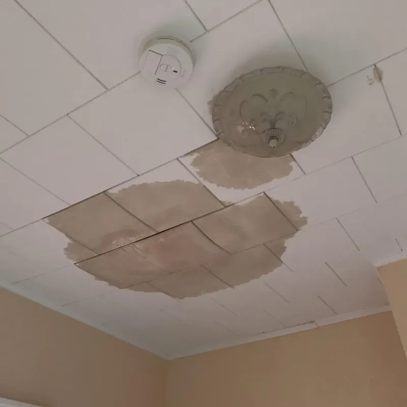 Ceiling Water Damage Repair in Clinton County, NY