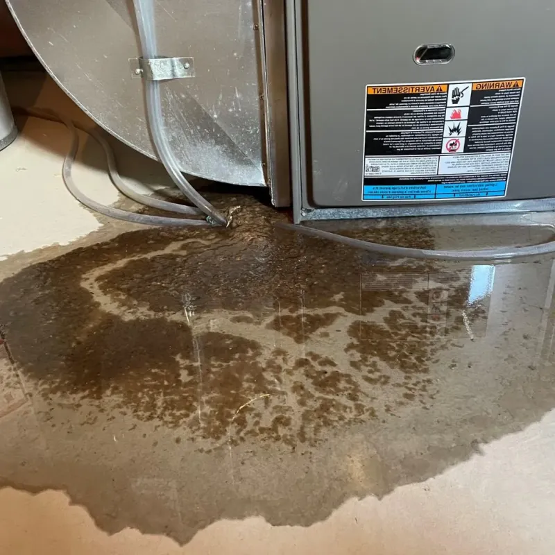 Pipe Burst and Leak Restoration in Clinton County, NY